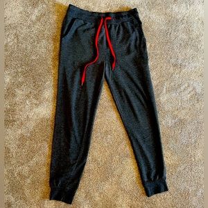 Gray Carbon Joggers—Size L